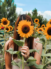 Low angle view of person holding flowering plant