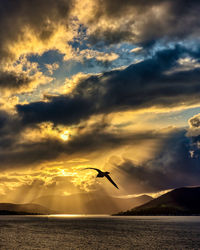 Scenic view. sea and seagull flyin. spectacular sunset, dramatic crepuscular light beams.