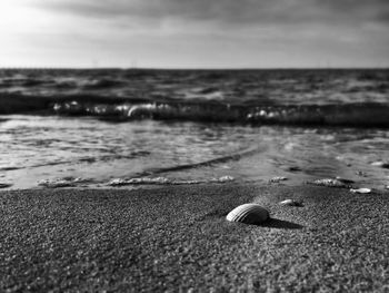 Surface level of beach