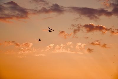 Micro lite at sunset.