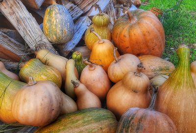 High angle view of pumpkins for sale in market