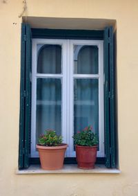 Potted plants on window sill of building