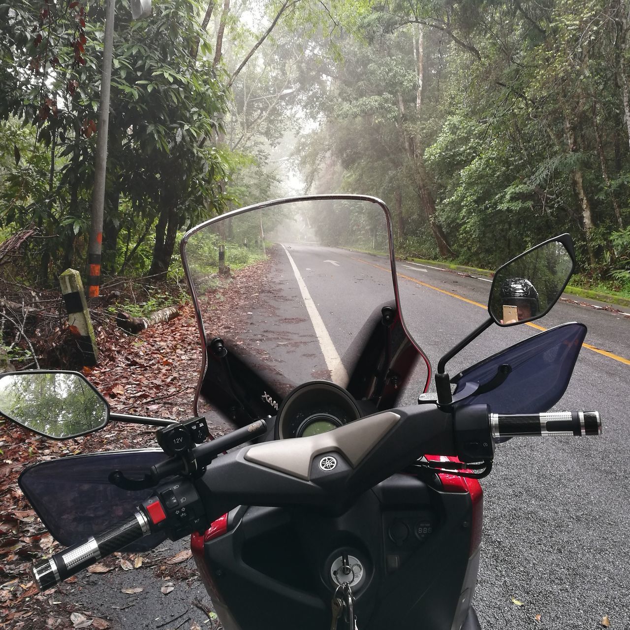 transportation, land vehicle, tree, mode of transport, car, stationary, street, bicycle, parking, road, day, parked, outdoors, travel, sunlight, high angle view, part of, growth, no people, motorcycle