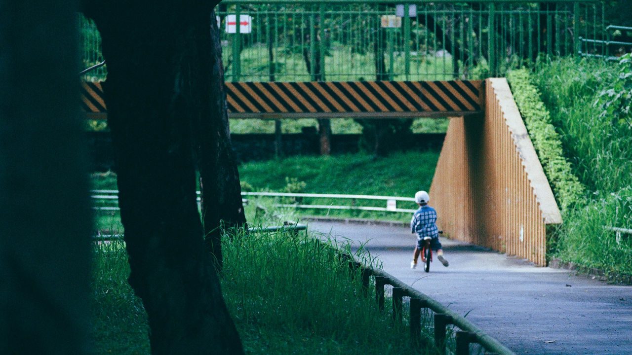 MAN WALKING ON BRIDGE IN PARK