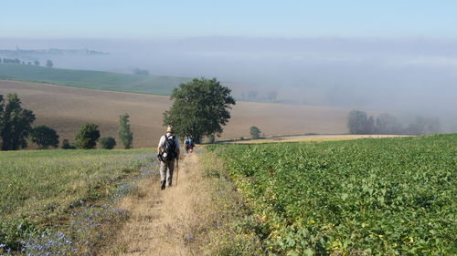 Rear view of people walking on agricultural field