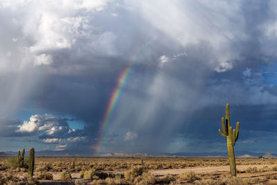 Rainbow over desert