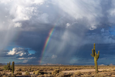 Rainbow over mountain against sky