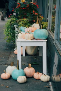 Close-up of multi colored pumpkins on table