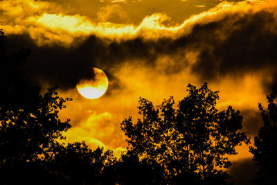 Low angle view of silhouette trees against sky at sunset