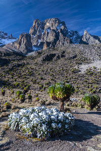 Scenic view of rocky mountains against sky