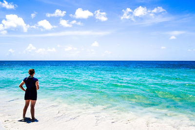 Rear view of man standing on beach against sky