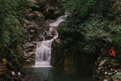 Waterfall in forest