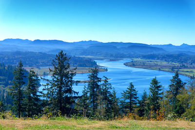 Scenic view of forest and mountains against clear blue sky