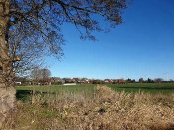 Scenic view of field against clear blue sky