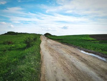 Empty dirt road amidst agricultural field against sky