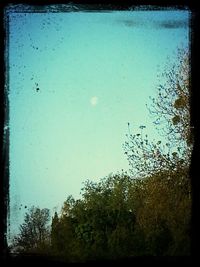 Scenic view of trees against blue sky