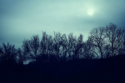 Silhouette trees against clear sky