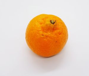 Close-up of orange on white background