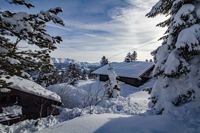 Snow covered trees against sky