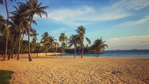 Scenic view of beach against sky