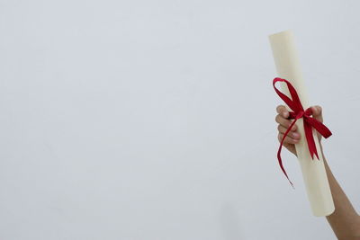 Close-up of christmas decoration against white background