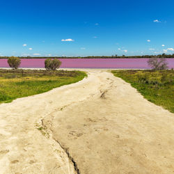 Road amidst field against blue sky