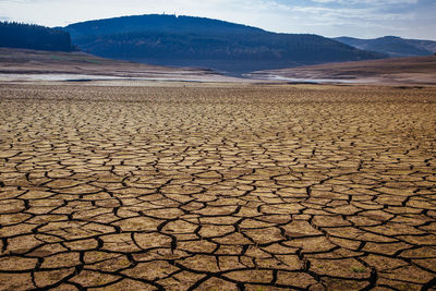 Surface level of barren land