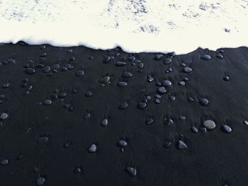 Full frame shot of wet sand