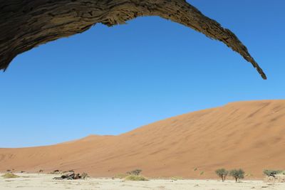 Scenic view of landscape against clear sky