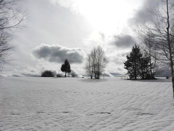 Trees on snow covered landscape against sky