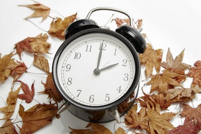 Close-up of alarm clock amidst dry leaves on white background