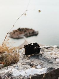 Close-up of rock on sea shore