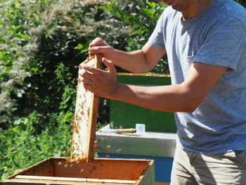 Midsection of man working at farm