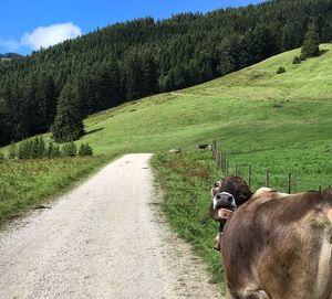 Auf dem weg zur