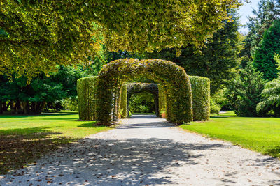 Footpath in garden, green, spring, sunny day.