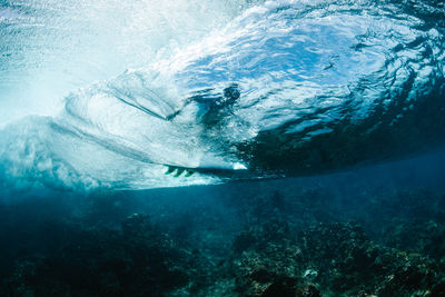 Coral reef underwater