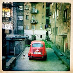 Cars on road in city