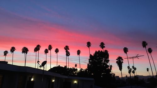 Silhouette palm trees against sky at dusk