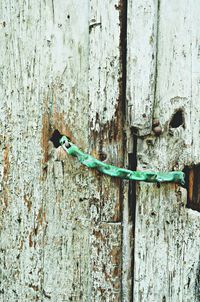 Close-up of wooden door