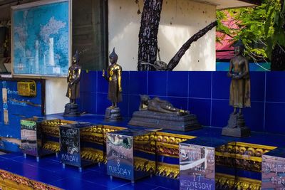 Various vegetables on display at store