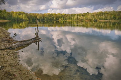 A stick stands by a lake in which the white clouds are reflected.