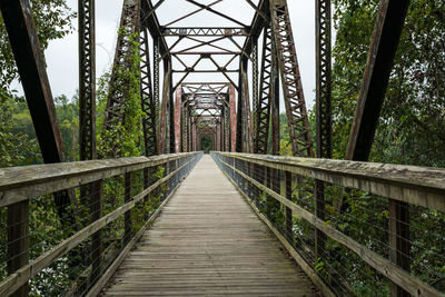 View of footbridge in forest