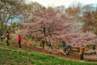 People enjoying in park