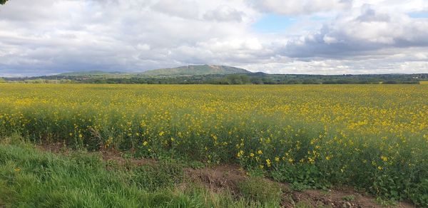 Scenic view of field against cloudy sky