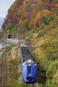 Autumn leaves and kiha 281 limited express hokuto