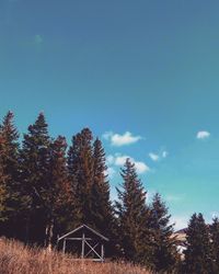 Low angle view of trees against sky