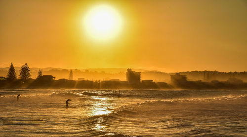 Surfing and sup at sunset on the baya of melbourne's magical austaliana, cold water, sea moved 