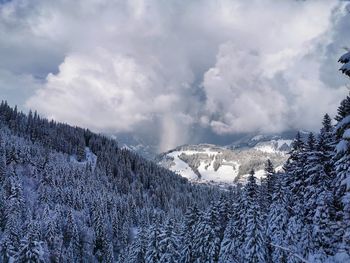 Snow covered trees against cloudy sky in austrian alps