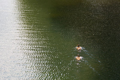 View of water in water