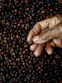 Close-up of coffee beans